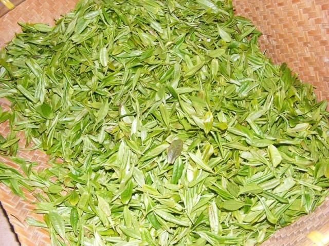 中国最好的绿茶是什么?